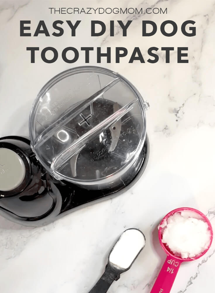 Dog's Teeth Make Your Own Dog Toothpaste Black Sheep Organics Dog Toothpaste Peppermint And Coconut Oil