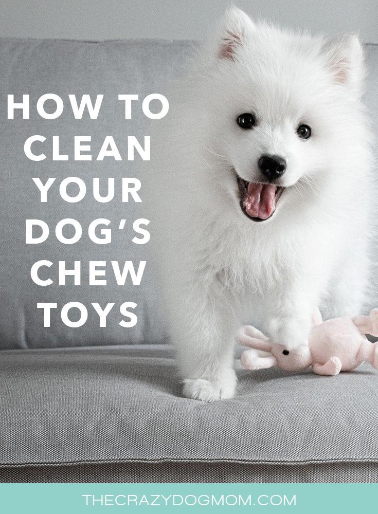 how to clean dog toys safely
