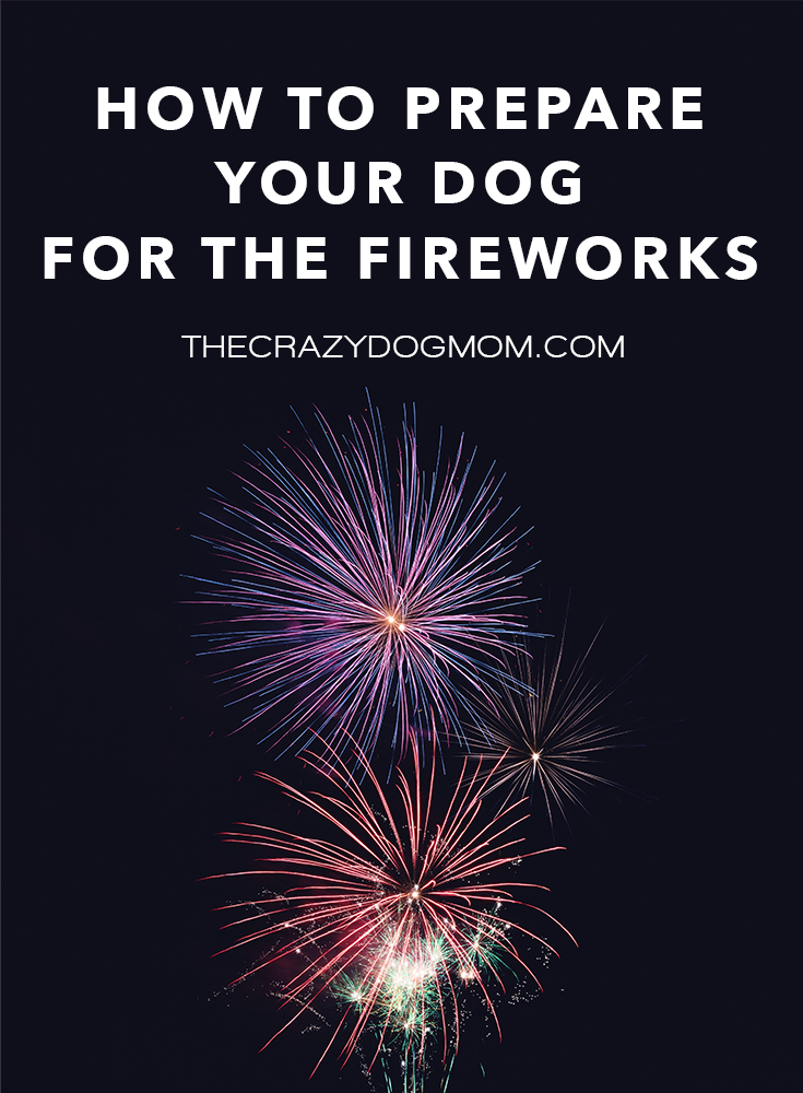 Tips to Make Your Dog More Comfortable During Fireworks – The Crazy Dog Mom