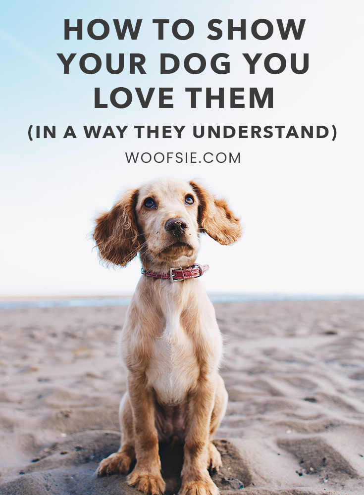 How to Show Your Dog You Love Them (In a Way They Understand)