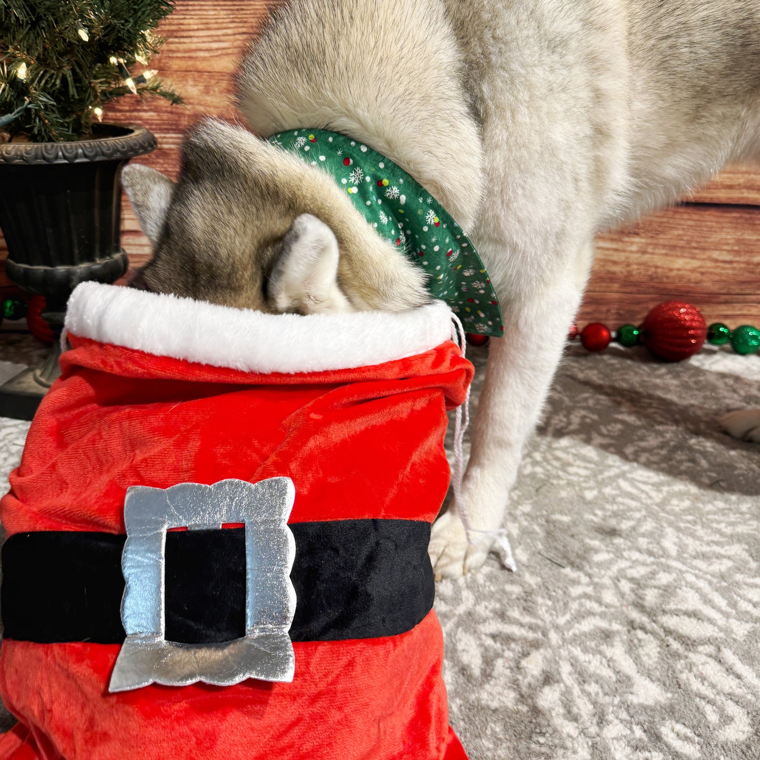 Santa Mystery Bag