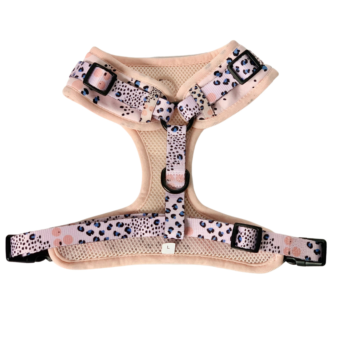 Spotted in the City Harness showing the straps and black hardware